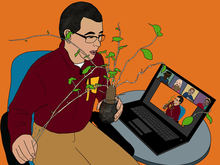 Illustration of Extension educator showing potato vine during a Zoom webinar