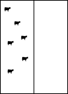 Diagram of cows on a simple rotational grazing system