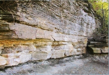 Open cliff face from a road cut in Southeast Minnesota made up of sedimentary rock deposited in layers with many fractures between the layers.