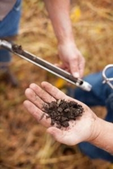 soil sampling with probe