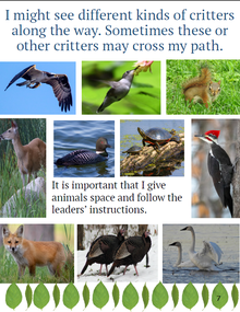 An example a social story from Tamarac Wildlife Refuge. The text reads "I might see different kinds of critters along the way. Sometimes these or other critters may cross my path. It is important that I give animals space and follow the leaders' instructions."