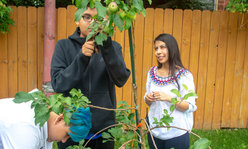 A woman standing by two youth looking at a recently planted tree.