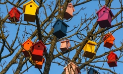 Multi-colored birdhouses hanging in a tree.