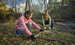 two girls gather brush in the woods