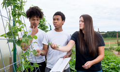 Two teens and adult looking at vegetables in schoolyard garden