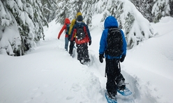 Four kids snowshoeing amongst snow covered evergreen trees.