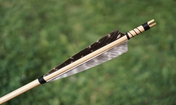 A close up an arrow's quill.