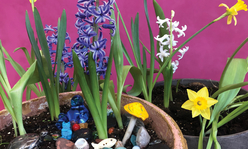 Pot with spring bulbs in flower, a ceramic mushroom, a marble, a silver turtle