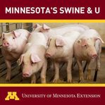 Swine and U podcast