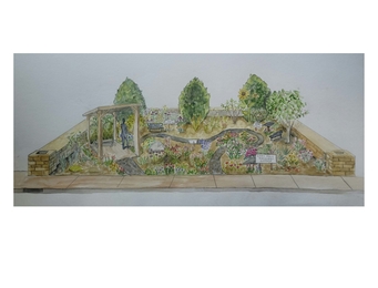 Conceptual drawing of the future Pine City Discovery Garden