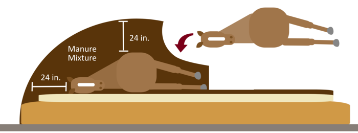 Diagram of a horse carcass in a carcass compost pile with a second carcass being added to it.