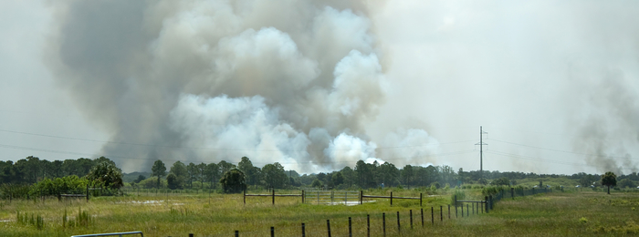 Smoke clouds billowing over farm land