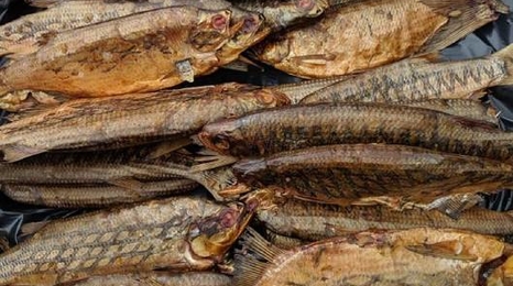 rows of dried whole fish