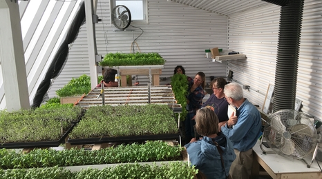 Adults in a DWG learning about the plants growing around them.
