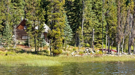 Lakeshore with cabin.