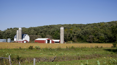 A Minnesota farm