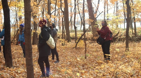 Adults in a fall woods with yellow leaves on trees and ground.