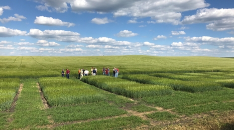 small grain field tour