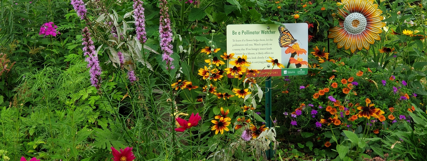 Flower garden with a sign reading "Be a pollinator watcher."