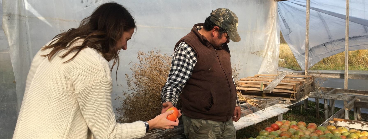 Javier Garcia and Molly Zins looking over harvested tomatoes.