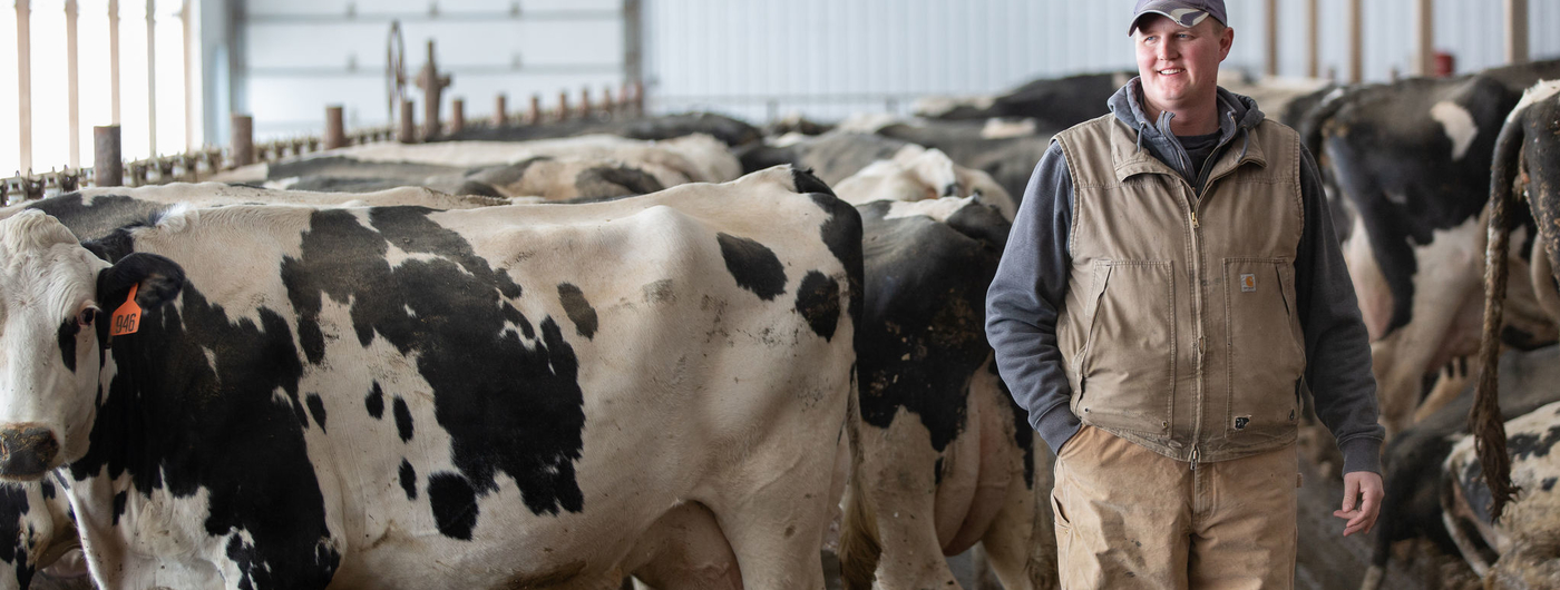 Dairy farmer standing in pen with cows