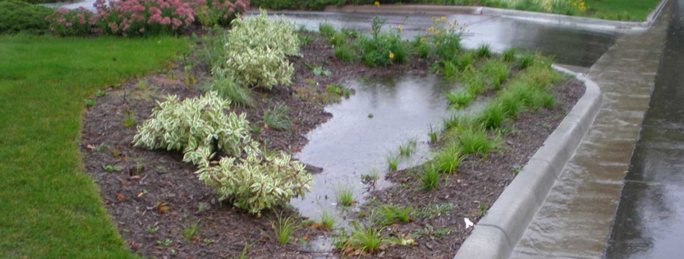 How And Why To Build A Rain Garden Umn Extension