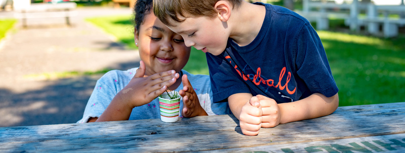Two children looking excitedly at a plant growing in a paper cup.