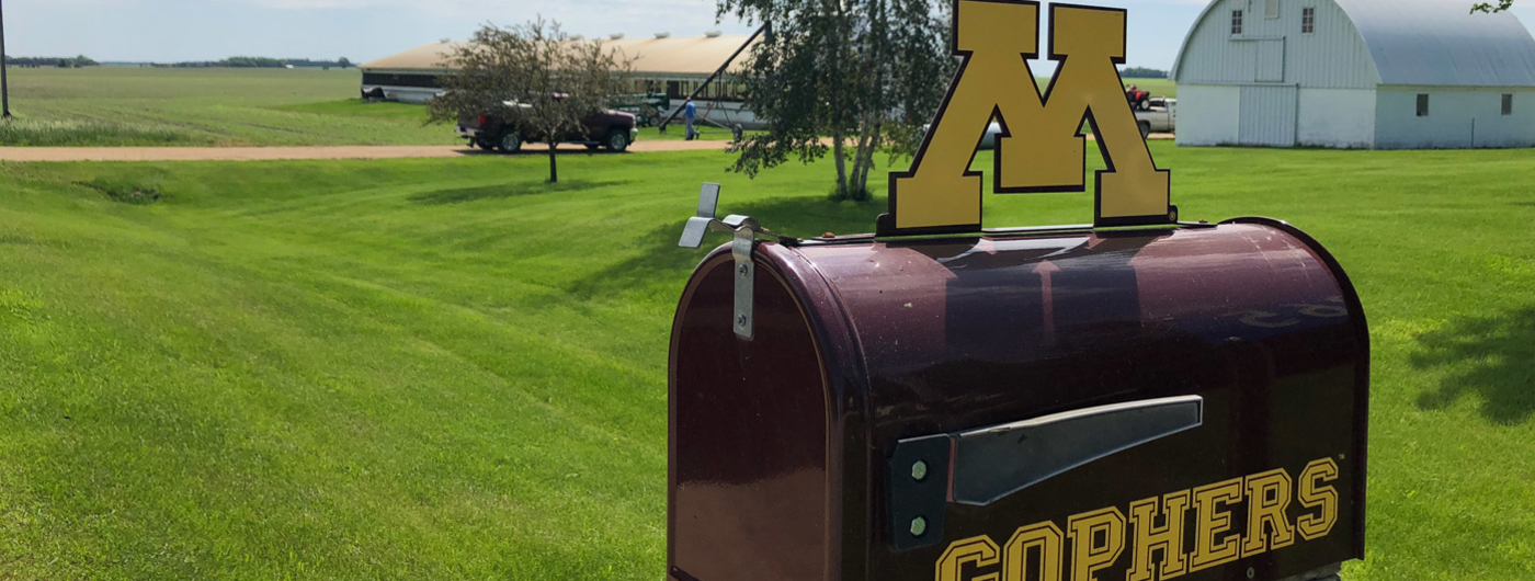 A maroon and gold "Gophers" mailbox with a farm field and farm building in the background on a sunny day