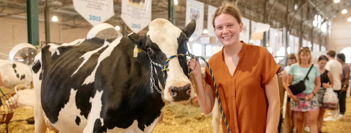 Teen 4-H youth with holstein cow in a barn, she is leaning in and smiling