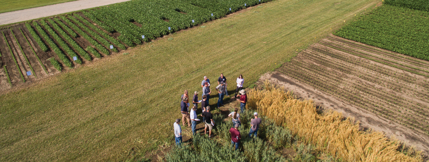 Group of people in grain field