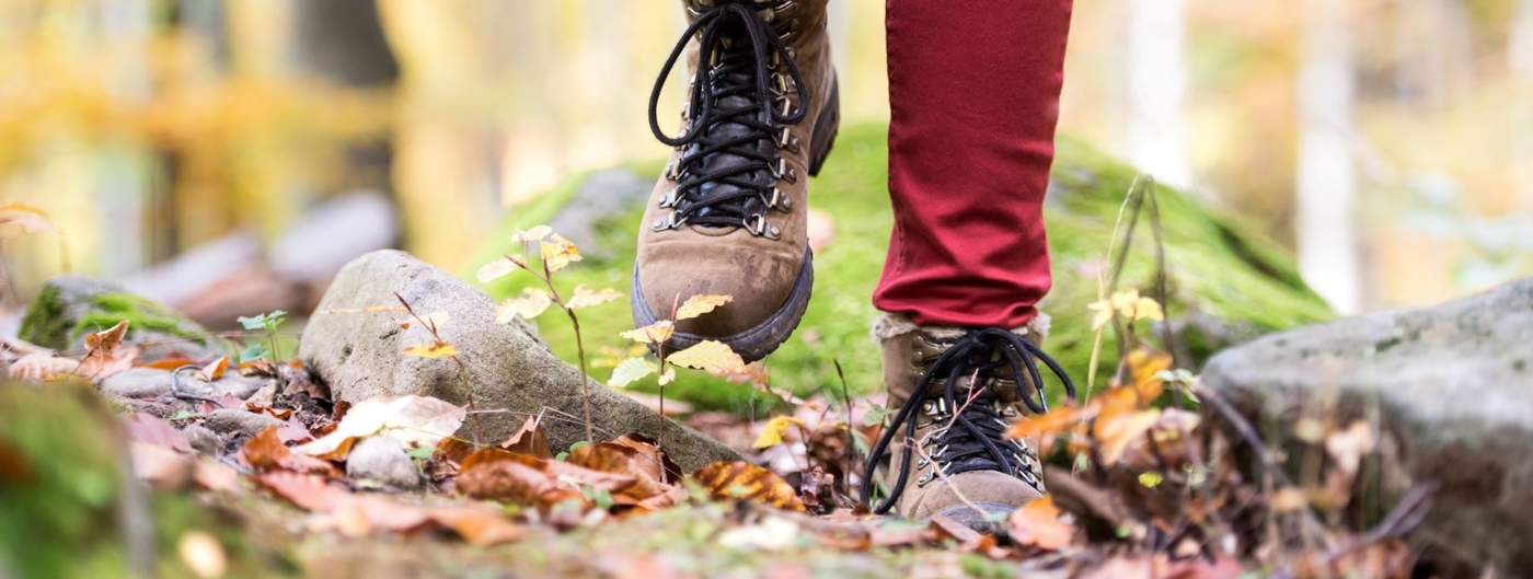 Close-up of a hiker's legs in the fall woods.