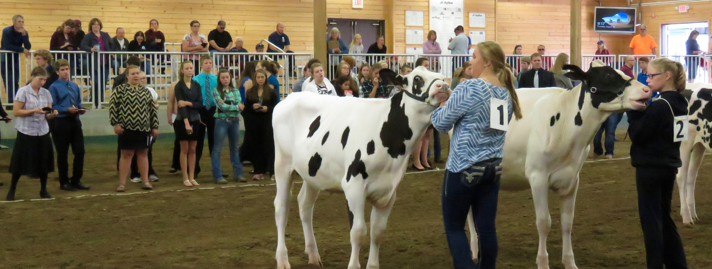 youth dairy judging contest