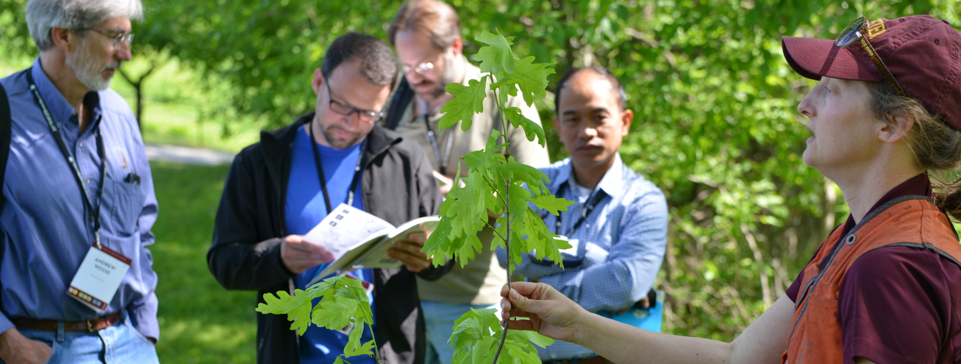 Educator showing tree branch to group