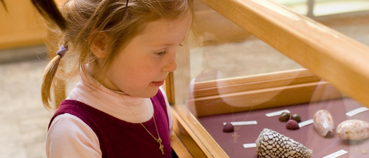 Little girl looking at museum artifacts