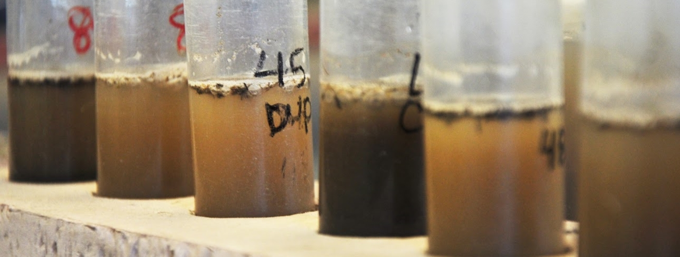 soil and water in vials.
