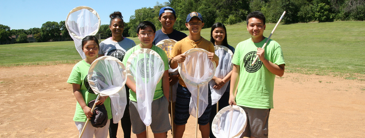 Group of young people with butterfly nets on an open field.