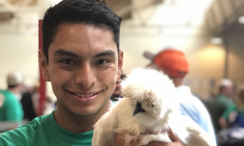 Teen holds up his white silky chicken while smiling.