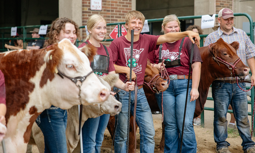 A group of youth wearing 4-H show shirts with their 4-H beef exhibits at the state fair.