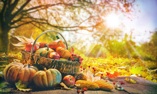 Basket of pumpkins against an autumnal scene