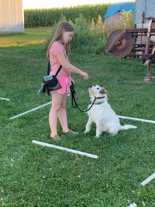 A young female 4-Her practices the "sit" command with her dog at dog training practice.