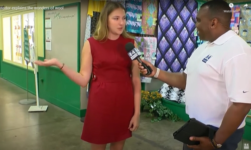 4-H teen in red sleeveless dress gestures with her hands while speaking into reporter's Channel 4 microphone inside the 4-H building at the fair