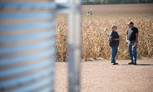 Two men talking in front of a corn field.