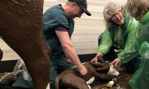 An Extension educator and two women examine a model calf after a birthing simulation.