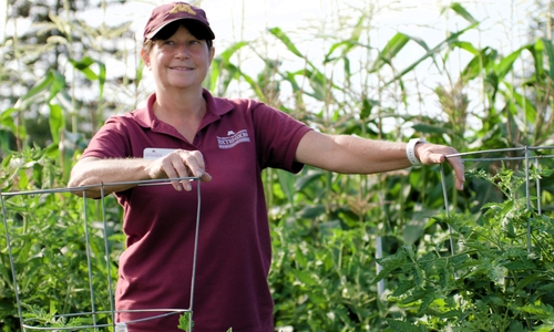 Laura stands among tomato cages wearing a U of M hat and maroon polo shirt, She has the look of accomplishment.