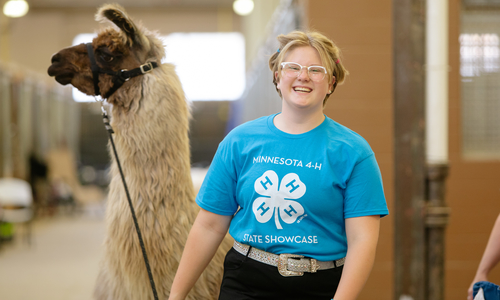 A girl wearing glasses and a blue Minnesota 4-H state showcase shirt standing next to a brown and white llama.