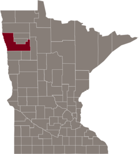 State of Minnesota map in gray with counties outlined. Polk county is in the northwest quadrant and is colored maroon.