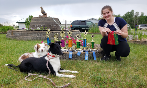Kid posing with dog, ribbons and trophies