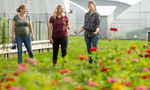 Three women stand talking outside at a farm with multiple greenhouses.