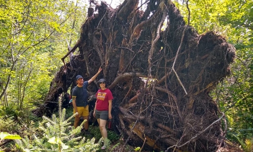Ryan Babcock & Alena Whitaker standing together in from of a large root system from a fallen tree.