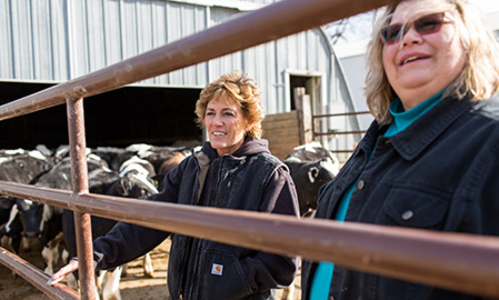 Dos mujeres paradas en una valla cerca de un establo de vacas.